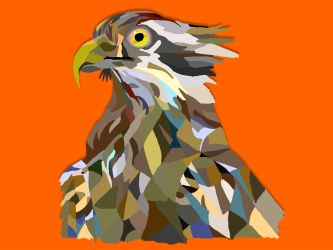Picasso Osprey